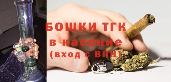 молекула духа Козельск