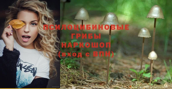 винт Коряжма