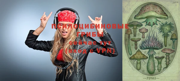 мяу мяу мука Костерёво